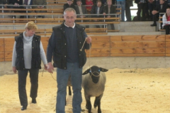 gala_der_tiere_4_20160526_1728546011