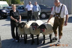 wolfau_2_20160526_1227606849