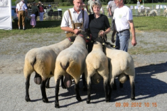 wolfau_3_20160526_1887380704
